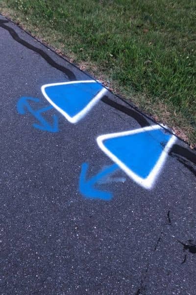 811 utility markings property survey - ALTA SURVEY Illinois Blue spray paint utility markings on pavement showing underground water lines for a property survey after an 811 locate request